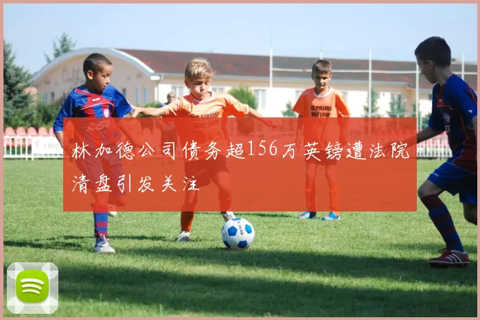 林加德公司债务超156万英镑遭法院清盘引发关注