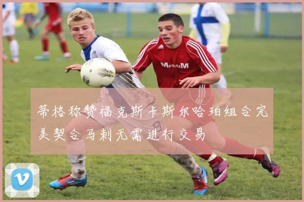 蒂格称赞福克斯卡斯尔哈珀组合完美契合马刺无需进行交易